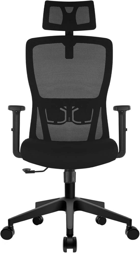 Office Desk Chair with Adjustable Headrest, Lumbar support and Liftable Armrest