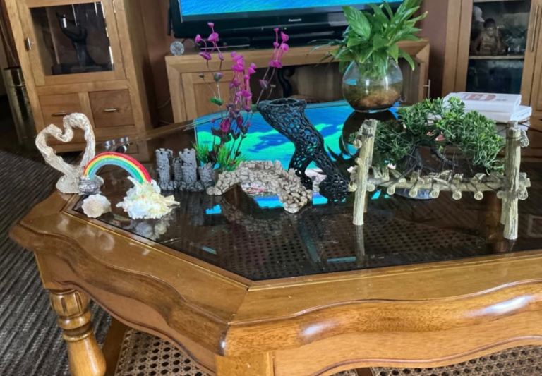 Fish tank decor/ornaments