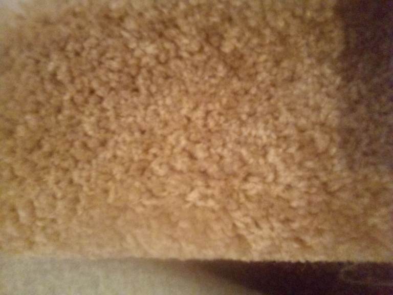 Brand new 13ft1in x 8ft6in approx carpet wool mix. Cream back, soft.. Can lay with/out underlay