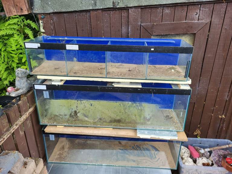 Fish tanks for sale 