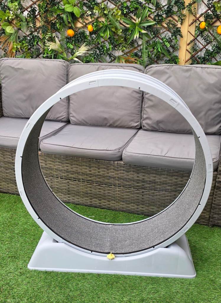 Cat exercise wheel treadmill