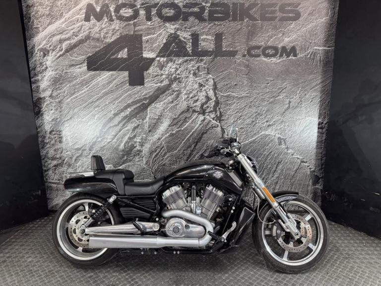 HARLEY-DAVIDSON VROD MUSCLE VRSCF V-ROD MUSCLE 1247 1