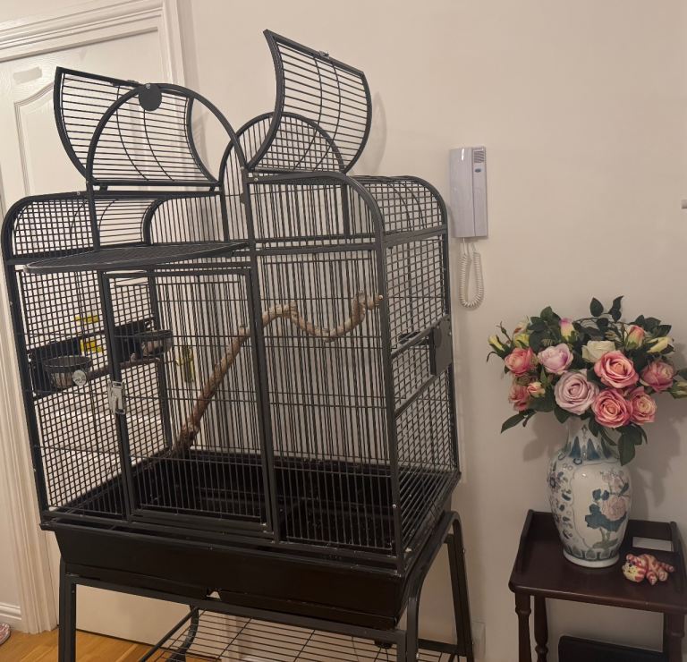 Montana Large Bird Cage + Toys (Open-Top/on Wheels)