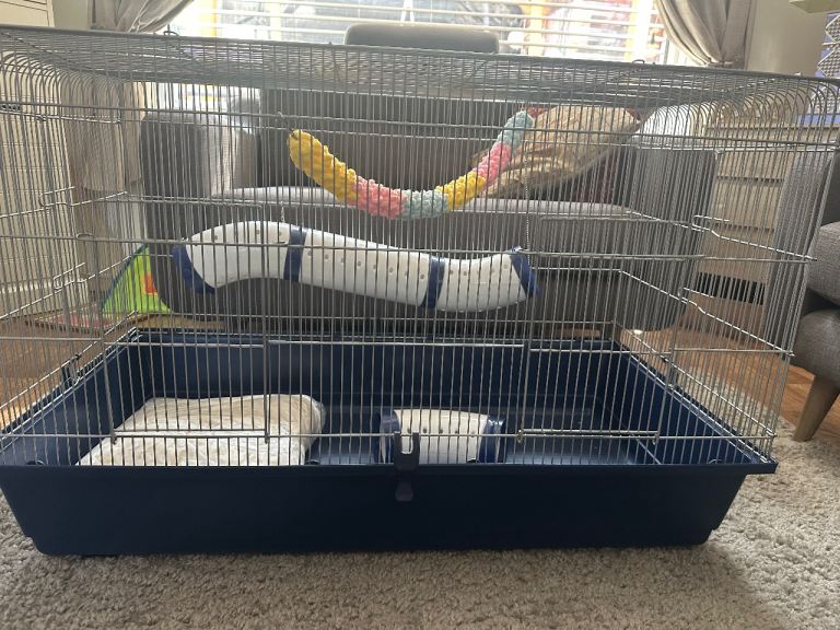 Small animal cage 