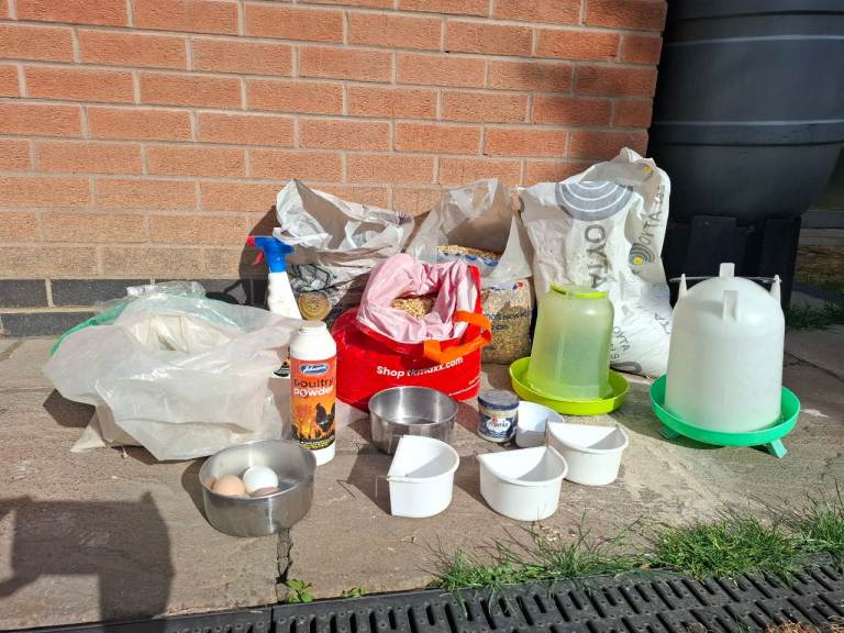 Huge pet chicken poultry bundle £50