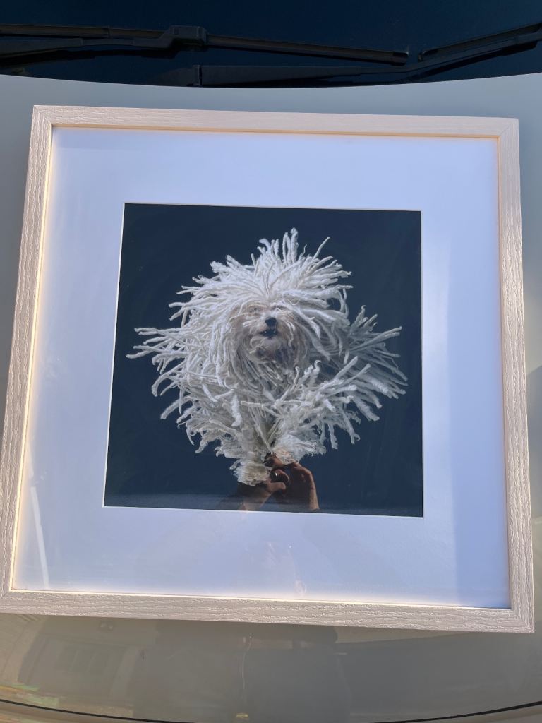Dog Picture and frame