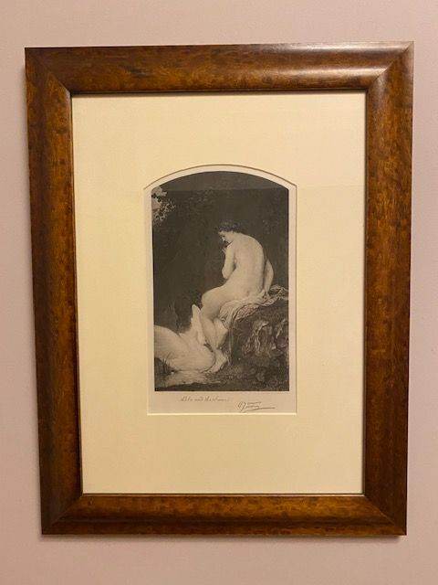 Framed Print - Leda & The Swan