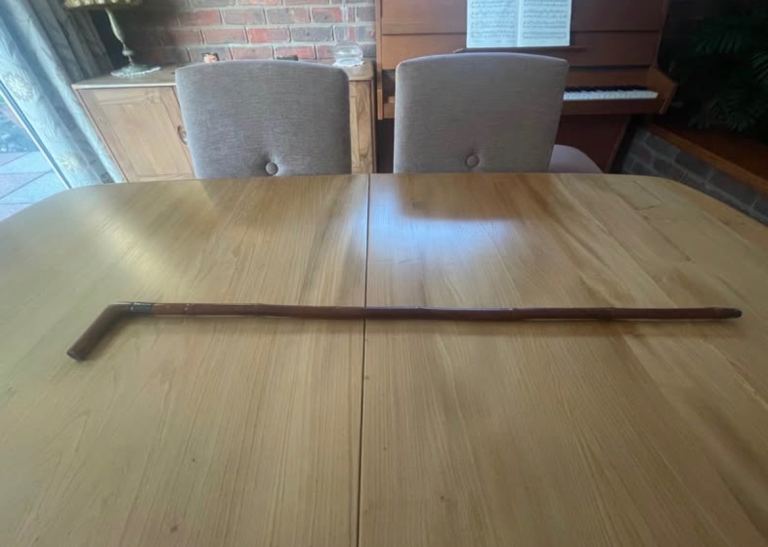 Gentleman’s fashion cane
