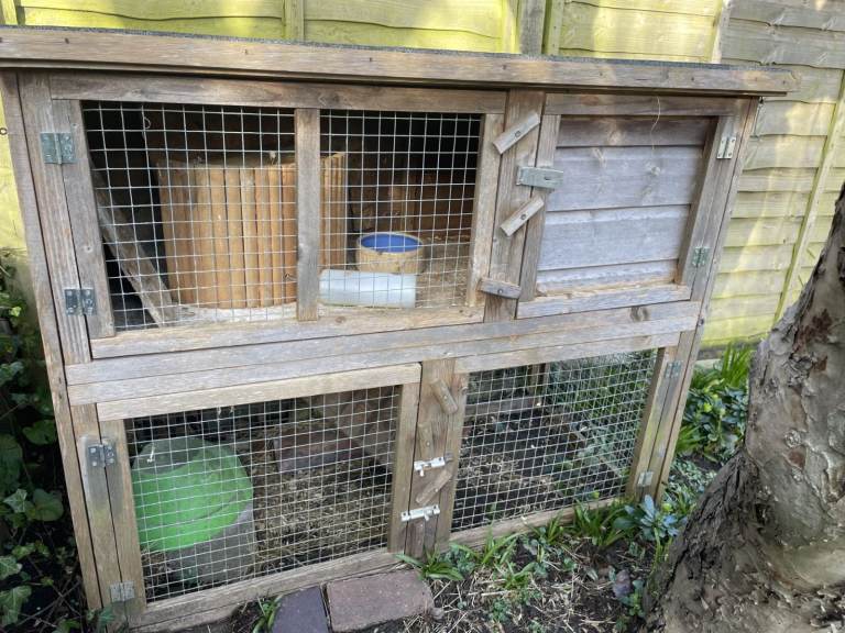 Guinea Pig Hutch