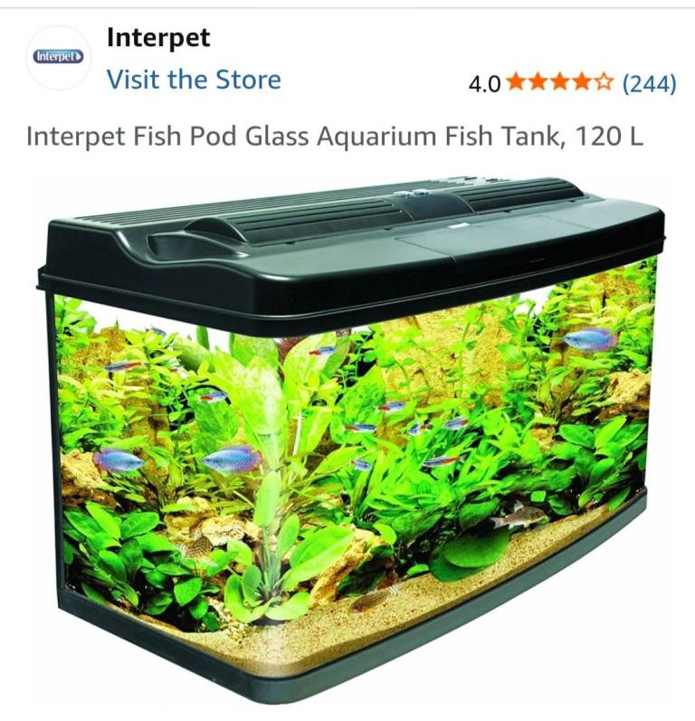 Fish tank and contents