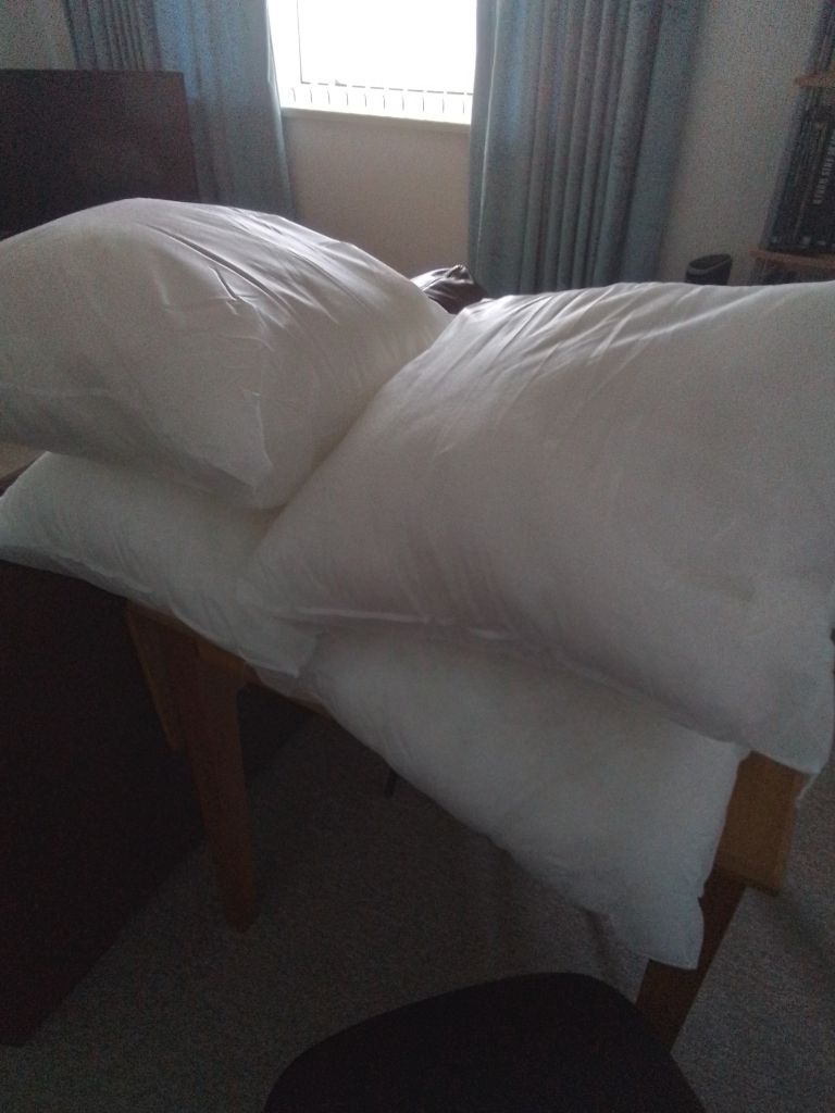 For free  cushion inserts 