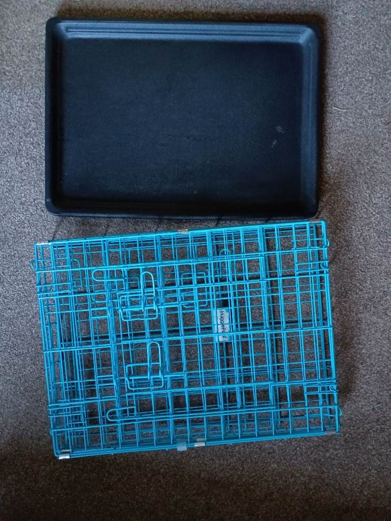 Blue Dog Cage with Plastic Tray
