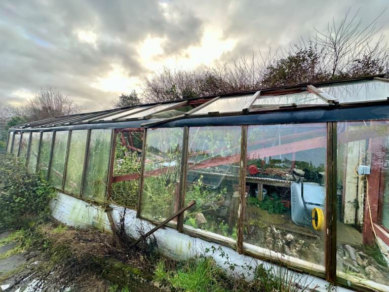 FREE - greenhouse glazing panes