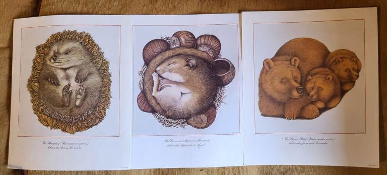 image for 3 x Hibernation Prints - Ken Laidlaw - Remnos - DDSA