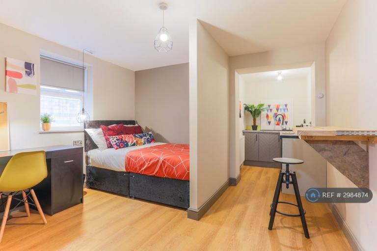 Studio flat in Borough Road, Middlesbrough, TS1 (#2984874)