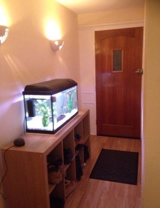 Single room for rent