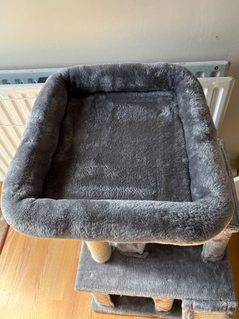New Cat Tree