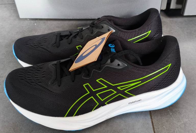 Asics Gel Pulse trainers 