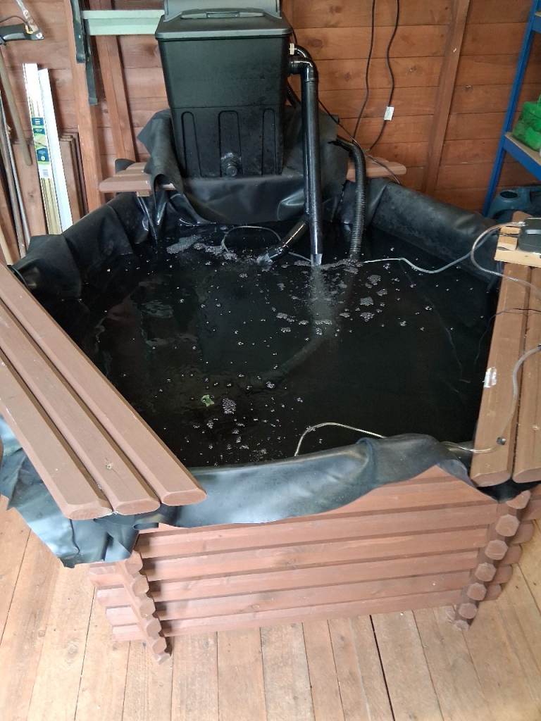 Wooden raised pond 