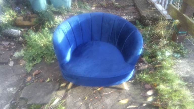 for small dog or cat