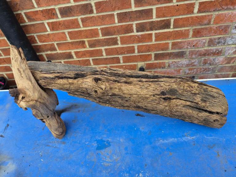 Bogwood 