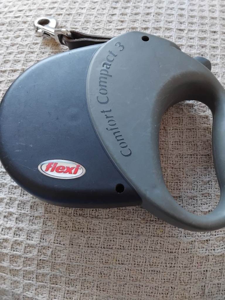 Flexi lead for large dogs
