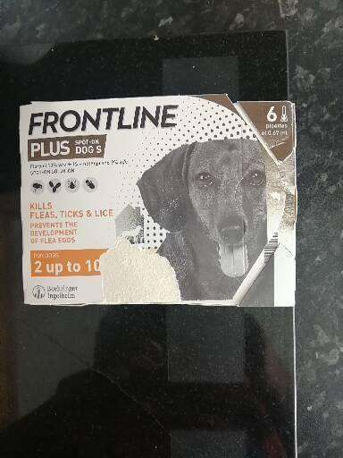 Frontline Plus for dogs.  2kg to 10kg