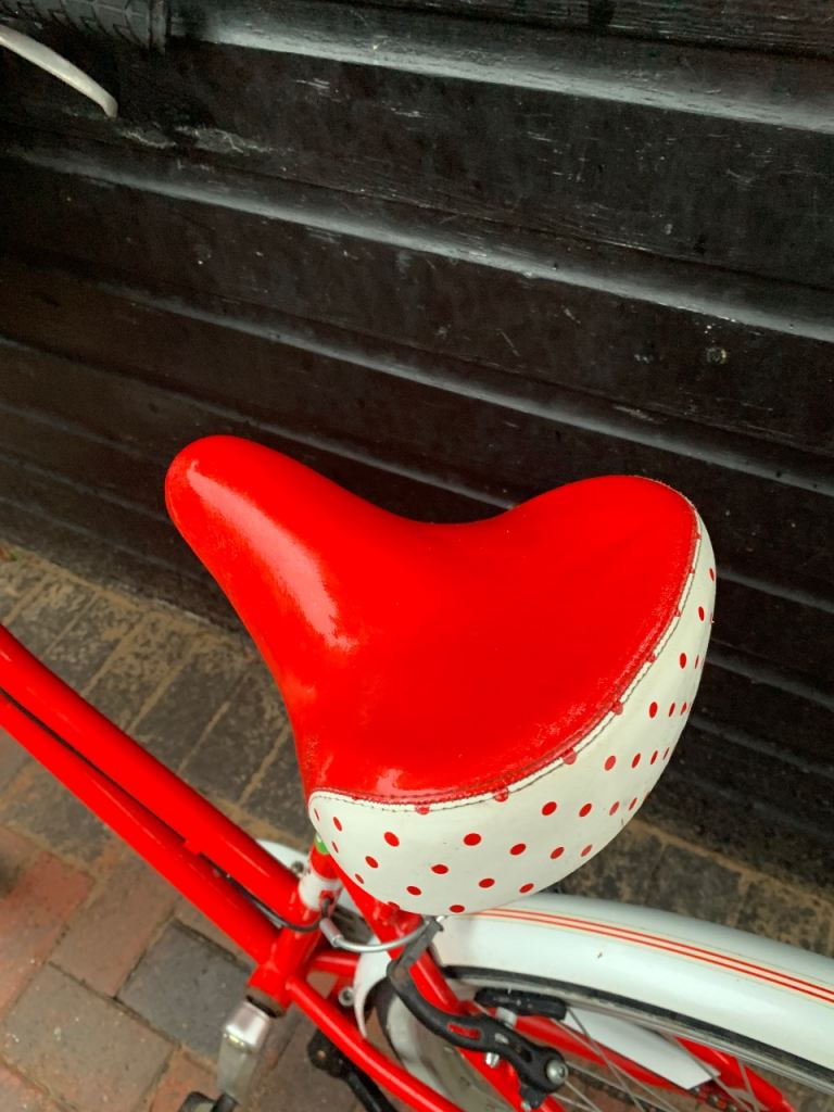 Littleton Pembleton Bike