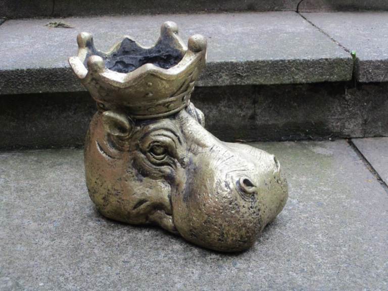 Large Regal Hippo Flower Pot