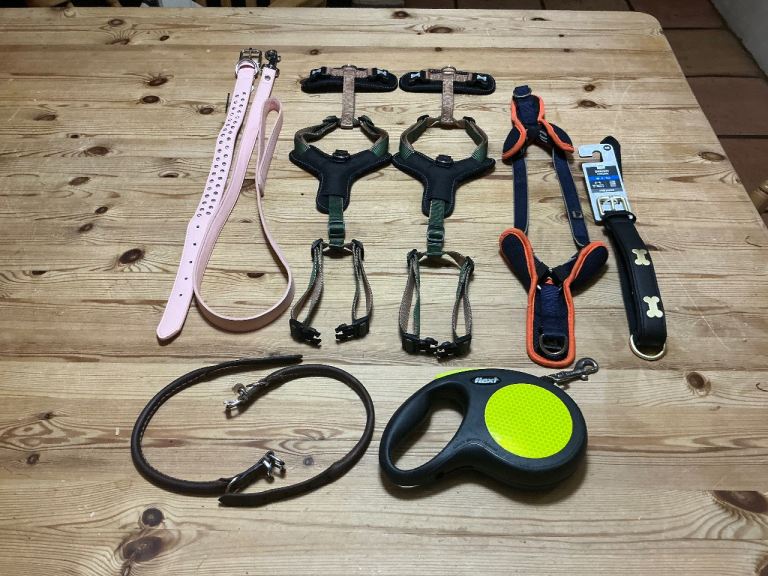 Puppy leather collars, 3 peaks training harnesses, collars and leads