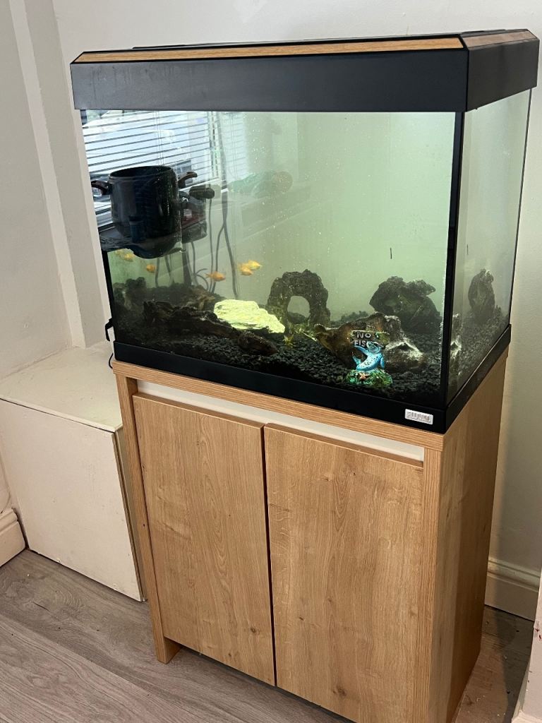 Fish tank 