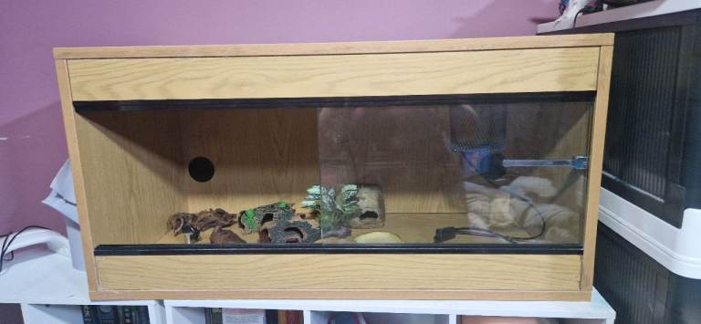 3ft Vivarium