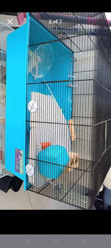Hamster cage from pets at home for Syrian or dwarf hamster 