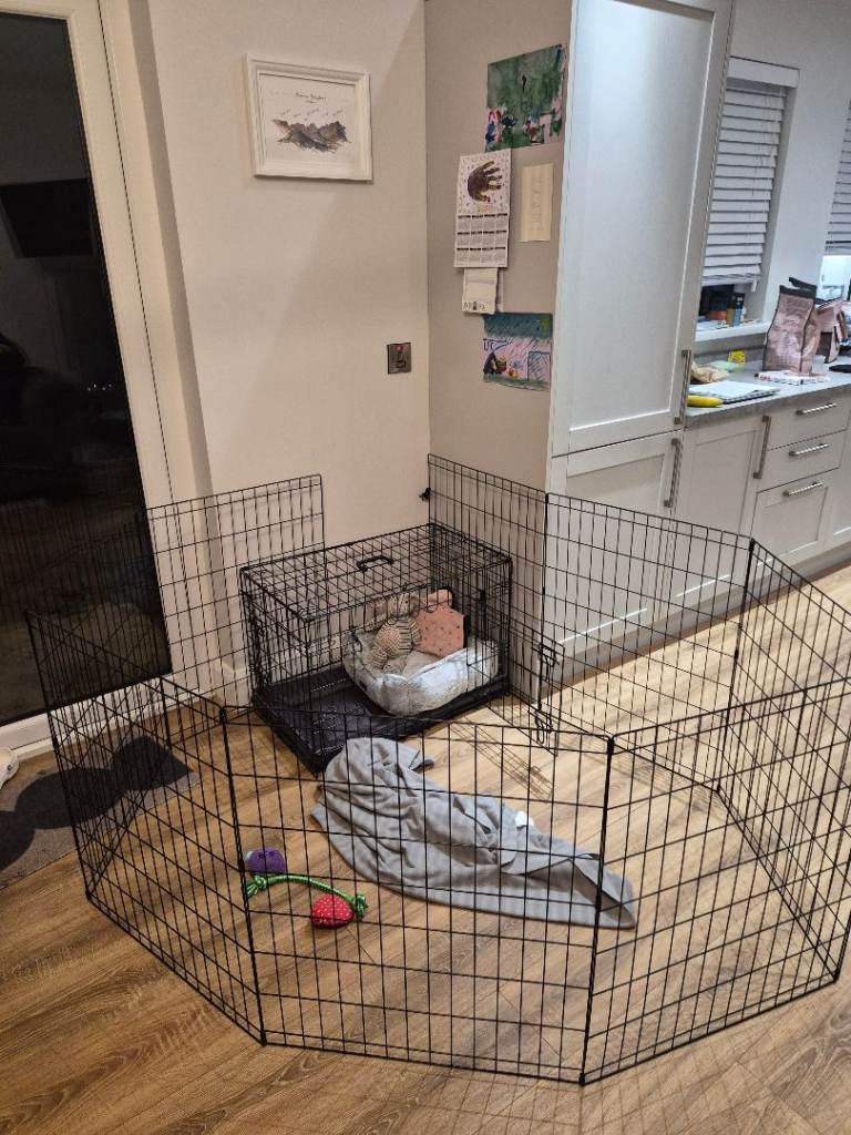 Folding Metal Dog/Puppy Pen