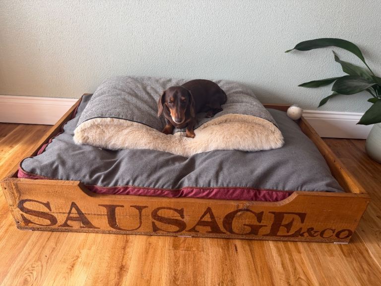 Bespoke handmade Sausage and Co wooden dog bed with orthopaedic dog mattress 