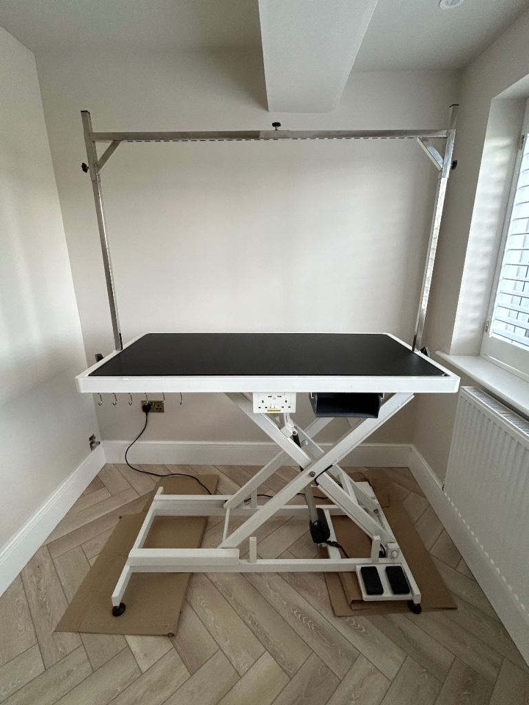 Aeolus Low-Low electric lifting dog grooming table 