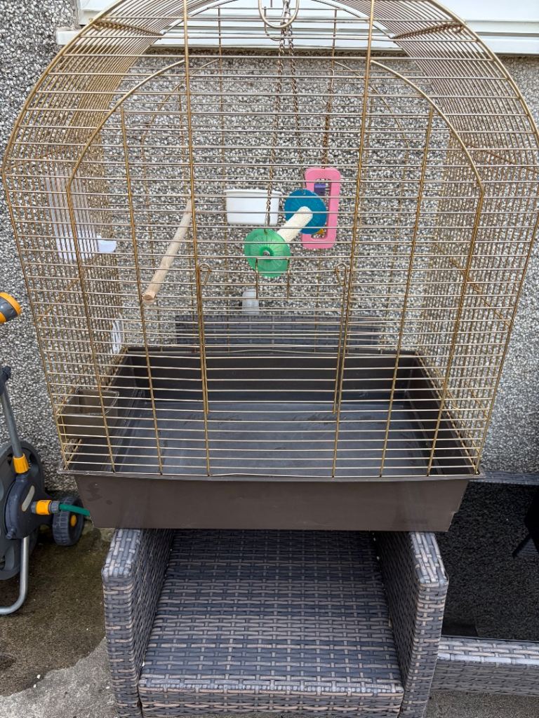 Bird cage 