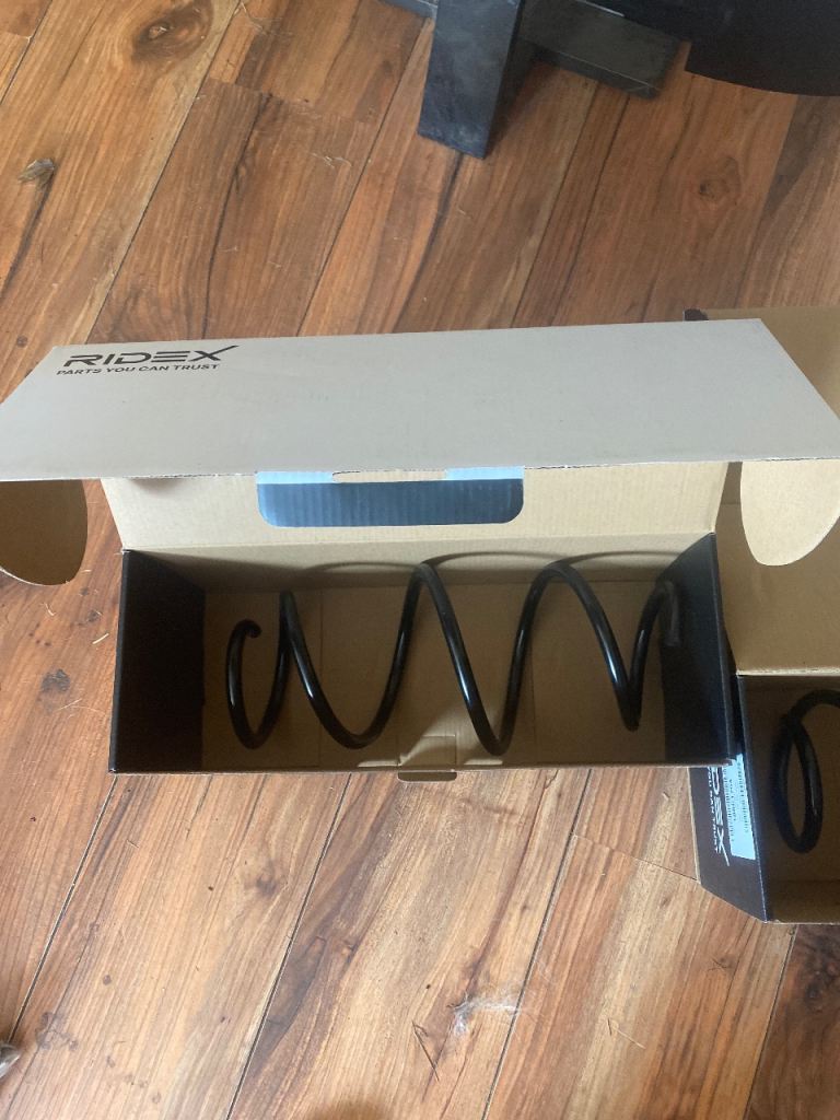 Ridex shocks and coil springs 