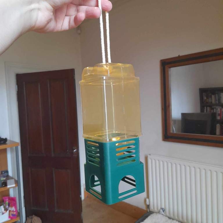 Bird Feeder
