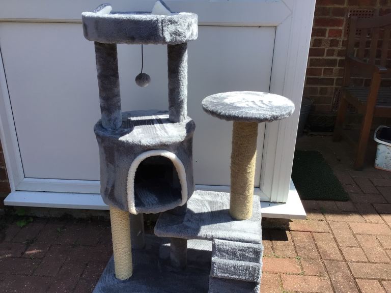  Cat Activity Tree. 