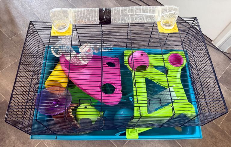 Hamster cage and accessories 