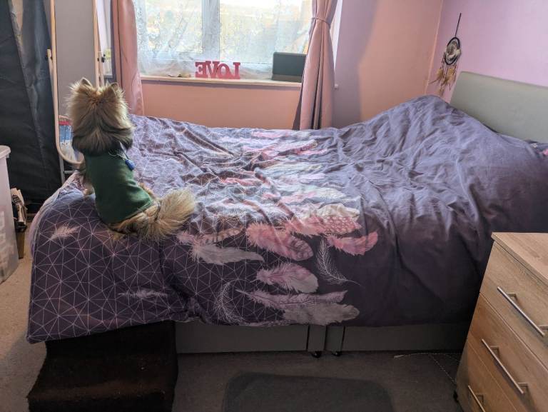 Small double grey divan bed with mattress and two drawers 