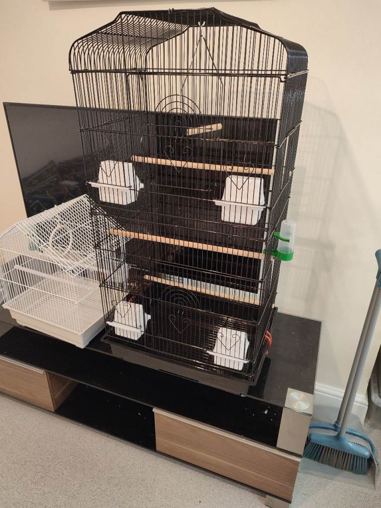 Bird Cage XL 