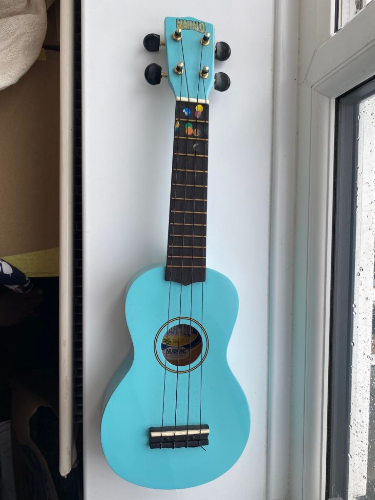 Ukulele blue for beginners