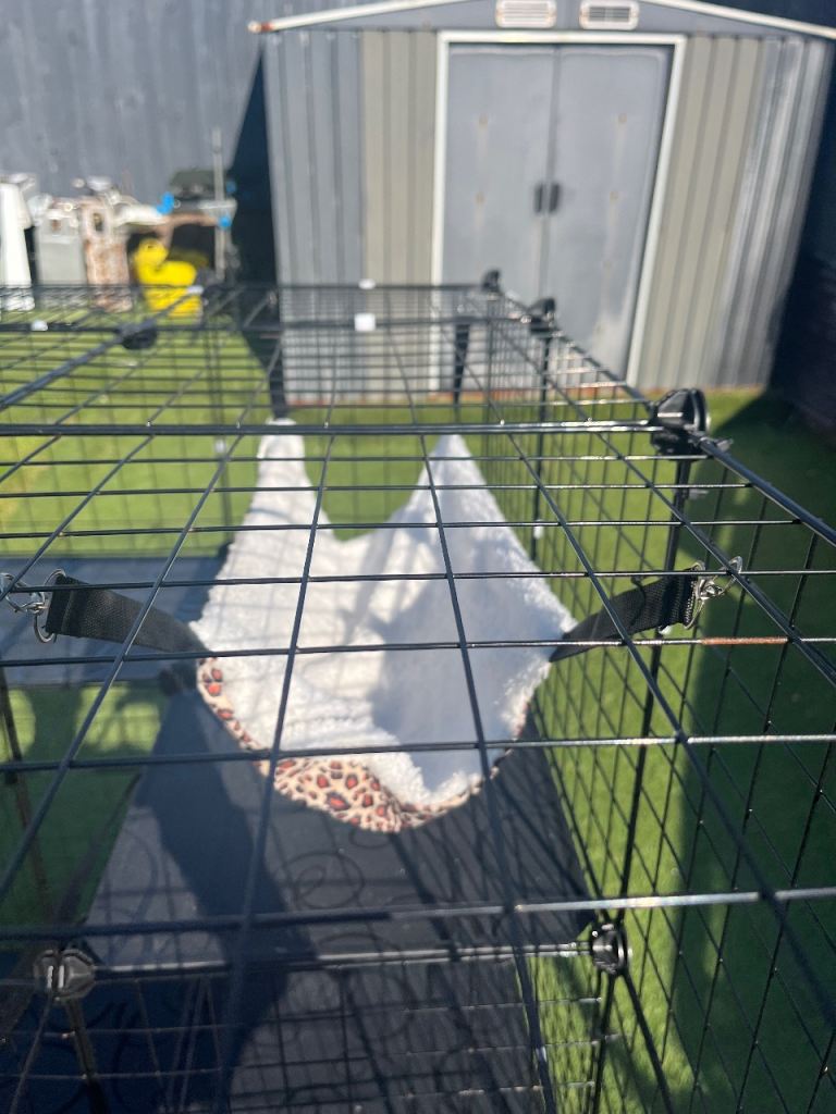 Cattery 