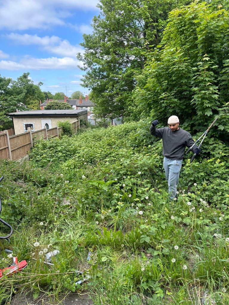 Garden gardening grass cutting