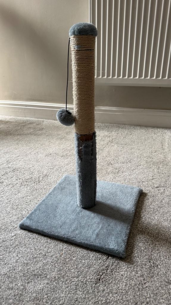 Cat Scratching Post