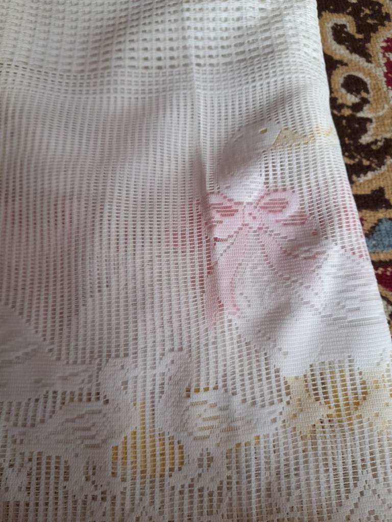 Net curtains with lovely goose design