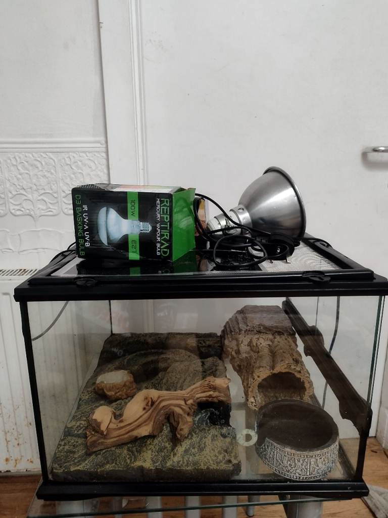Reptile terrarium