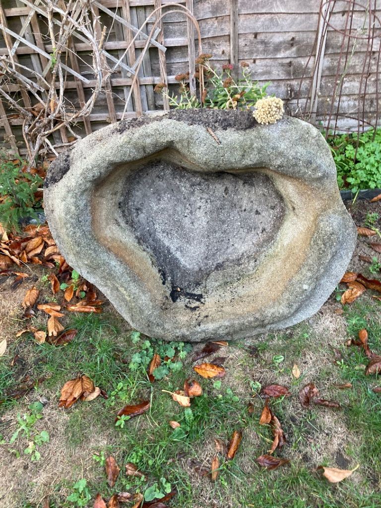 Small pond liner